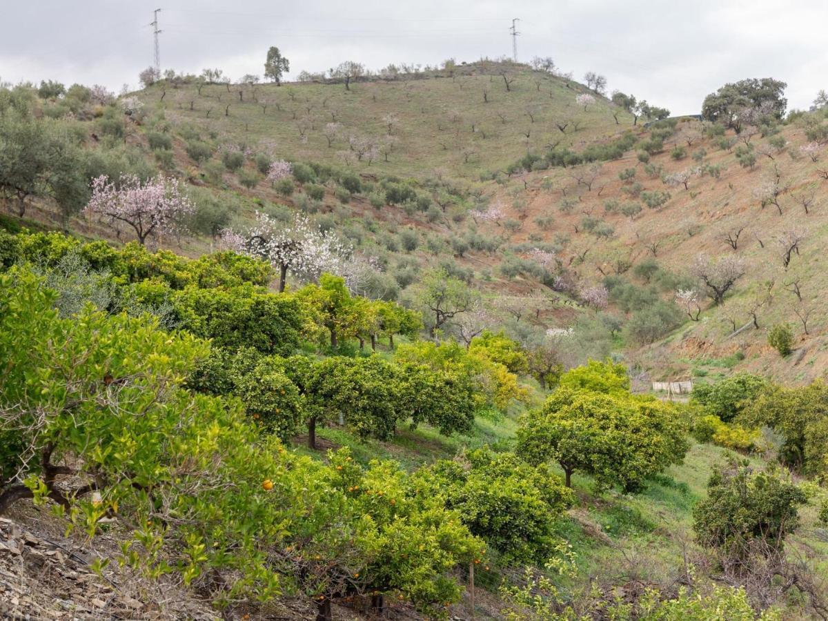 Alojamiento Rural Casa La Era Almogía Eksteriør billede